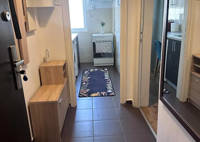 Ultracentral - Pe Calea Victoriei Apartament Bucureşti